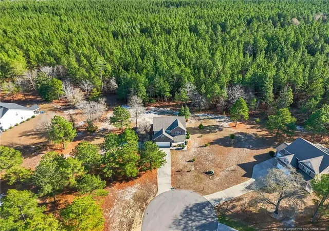 Homes for sale in Jackson Springs, NC | 15 Preserve Ct, Jackson Springs, NC 27281 | MLS# 762890