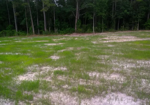 Photo 2 of Land for sale at Tbd Pridgen Dead End Rd, La Grange, NC 28551 | MLS# 10168338 | Listing updated on 2026-07-18