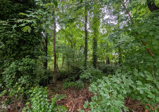 Photo 2 of Land for sale at 333 Willow St, Cary, NC 27511 | MLS# 10169320 | Listing updated on 2026-07-18