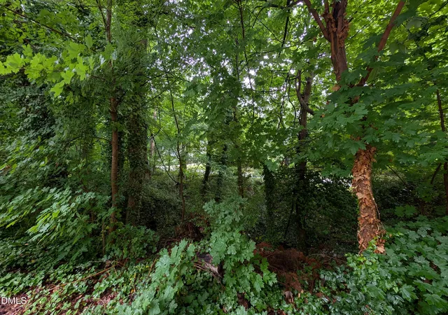 Photo 3 of Land for sale at 335 Willow St, Cary, NC 27511 | MLS# 10169319 | Listing updated on 2026-07-18