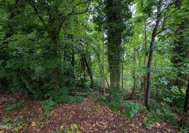 Photo 4 of Land for sale at 335 Willow St, Cary, NC 27511 | MLS# 10169319 | Listing updated on 2026-07-18