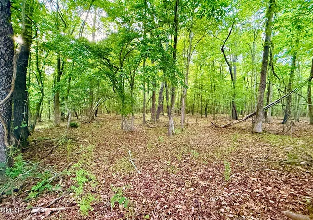 3rd image of Tr 1 Nc-39, Selma, NC 27576 | MLS# 10169335