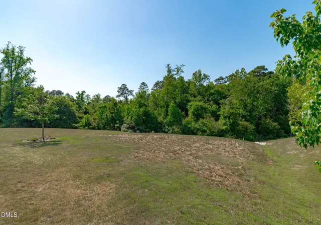 Homes for sale in Knightdale, NC | 4605 Stony Falls Wy, Knightdale, NC 27545 | MLS# 10168745