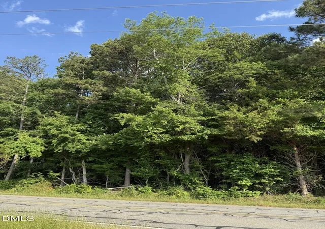 3rd image of 0 Jessie Bridges Rd, Siler City, NC 27344 | MLS# 10168969