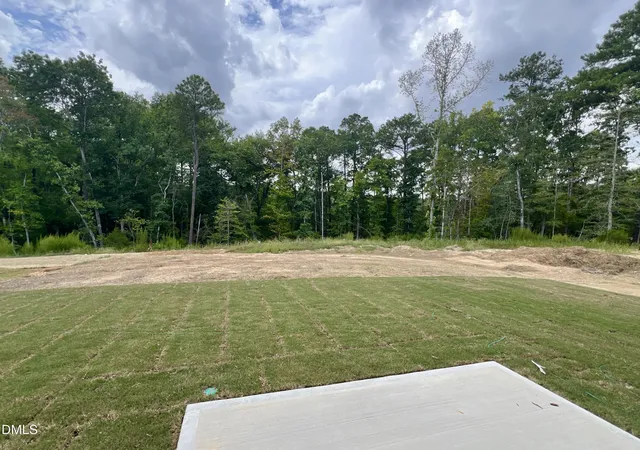 Photo 3 of Sale Pending at 1660 Solace Way, Rolesville, NC 27571 | MLS# 10168876 | Listing updated on 2026-09-01