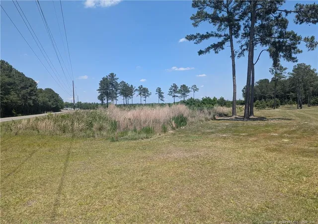 Homes for sale in Autryville, NC | 0 Tew Rd, Autryville, NC 28318 | MLS# 763006