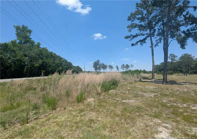 Homes for sale in Autryville, NC | 0 Tew Rd, Autryville, NC 28318 | MLS# 763006