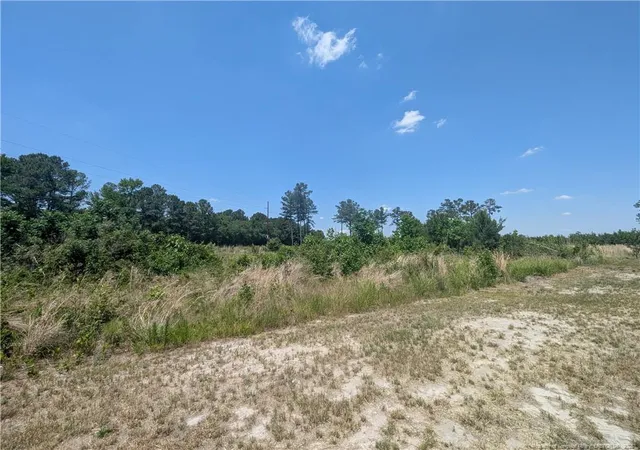 Homes for sale in Autryville, NC | 0 Tew Rd, Autryville, NC 28318 | MLS# 763006