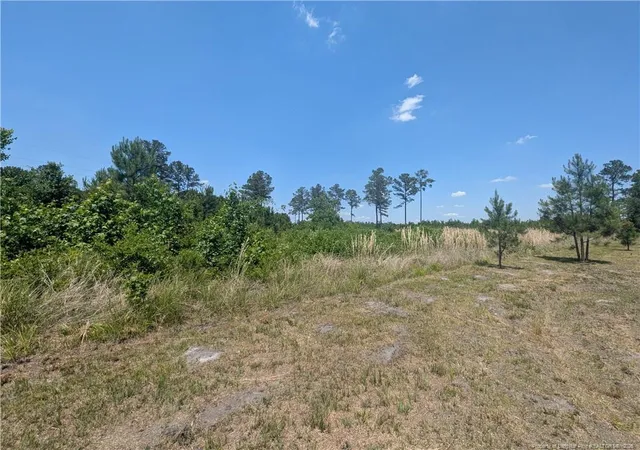 Homes for sale in Autryville, NC | 0 Tew Rd, Autryville, NC 28318 | MLS# 763006