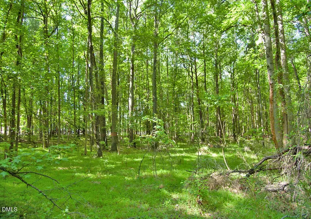Photo 3 of Land for sale at 5305 Panther Crk Dr, Raleigh, NC 27603 | MLS# 10169286 | Listing updated on 2026-09-10