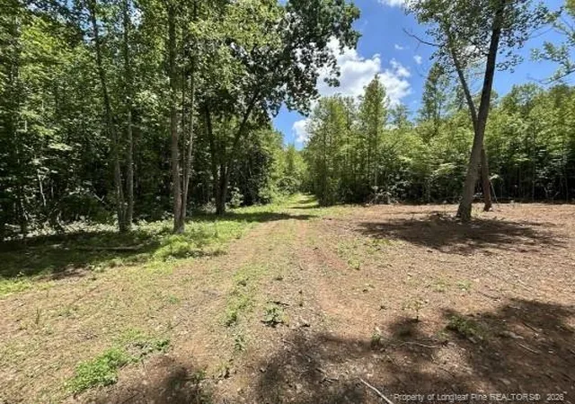 Homes for sale in Roxboro, NC | Pointe Mayo Dr, Roxboro, NC 27574 | MLS# 763061