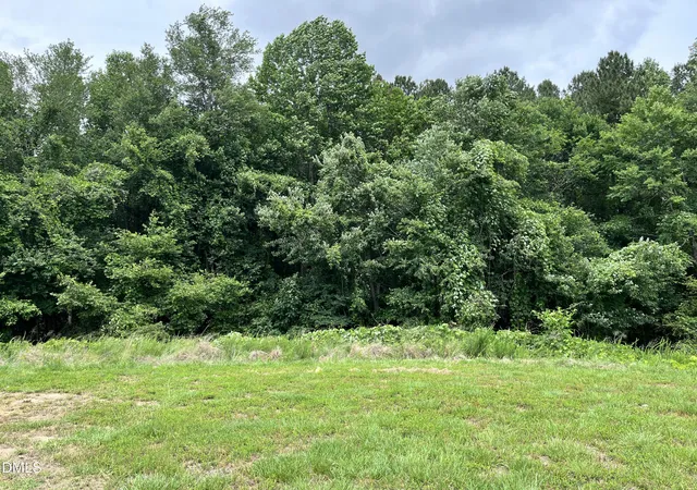 3rd image of 845 Lunar Light Dr, Wendell, NC 27591 | MLS# 10169739