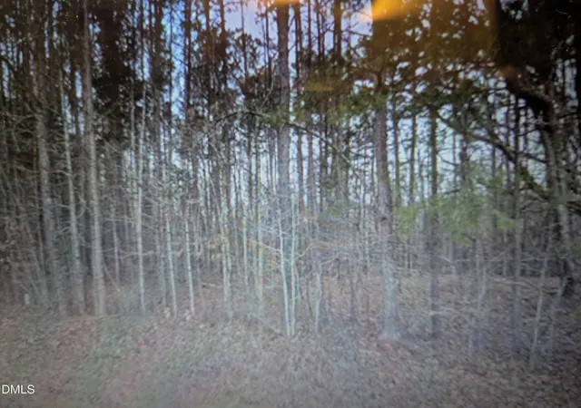 2nd image of 0 Pool Rock, Henderson, NC 27537 | MLS# 10169829