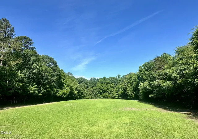 Homes for sale in Hurdle Mills, NC | 315 Acres Snipes Rd, Hurdle Mills, NC 27541 | MLS# 10170524