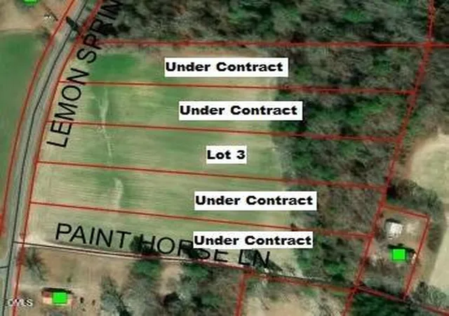 Homes for sale in Sanford, NC | 0 Lemon Springs Rd, Sanford, NC 27332 | MLS# 10170647