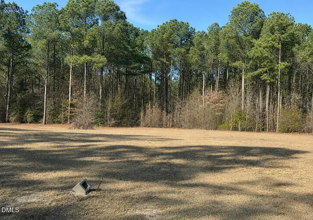 Photo 3 of Single family home for sale at 290 Raynor Sands Dr, Dunn, NC 28334 | MLS# 10170836 | Listing updated on 2026-08-07