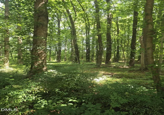 Photo 3 of Land for sale at 11121 N Carolina 42, Holly Springs, NC 27540 | MLS# 10170902 | Listing updated on 2026-08-19