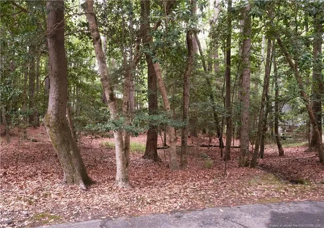 Photo 2 of Land for sale at 1144 Deerfoot Trl, Sanford, NC 27332 | MLS# 763058 | Listing updated on 2026-09-08
