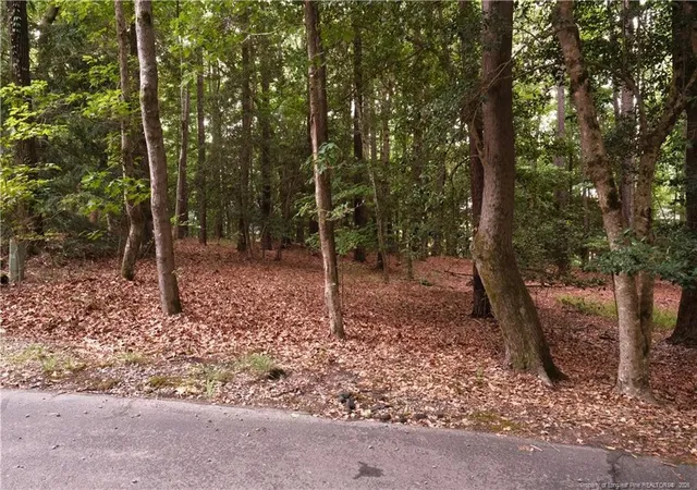 Photo 3 of Land for sale at 1144 Deerfoot Trl, Sanford, NC 27332 | MLS# 763058 | Listing updated on 2026-09-08