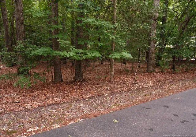 Homes for sale in Sanford, NC | 1146 Deerfoot Trl, Sanford, NC 27332 | MLS# 763120