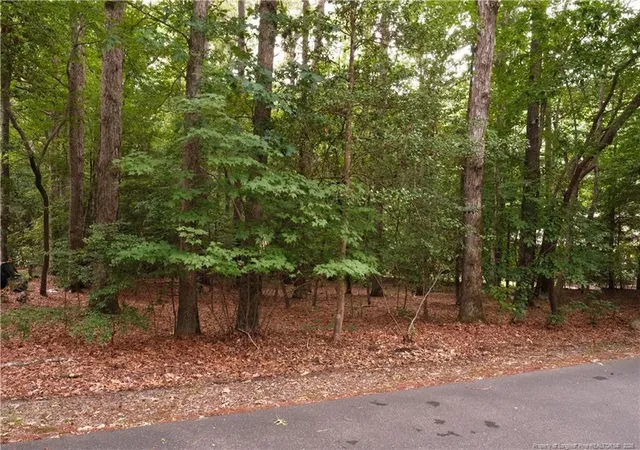 Homes for sale in Sanford, NC | 1146 Deerfoot Trl, Sanford, NC 27332 | MLS# 763120