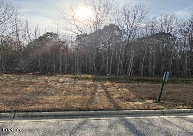 Photo 1 of Land for sale at 206 Hope St, Erwin, NC 28339 | MLS# 10174167 | Listing updated on 2026-07-18