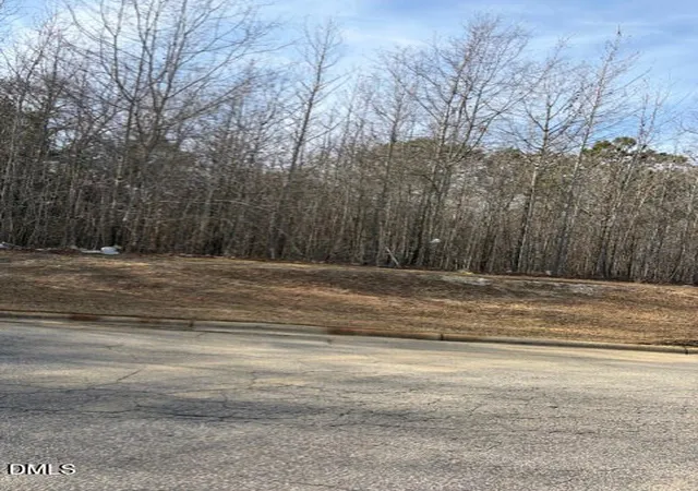 Photo 4 of Land for sale at 206 Hope St, Erwin, NC 28339 | MLS# 10174167 | Listing updated on 2026-07-18