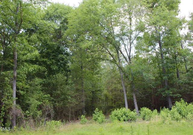 Homes for sale in Pittsboro, NC | 1920 Alston Chapel Rd, Pittsboro, NC 27312 | MLS# 10175756