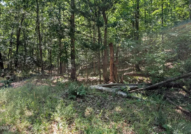 Homes for sale in Rougemont, NC | 2069 Lot B Bowen Rd, Rougemont, NC 27572 | MLS# 10172101