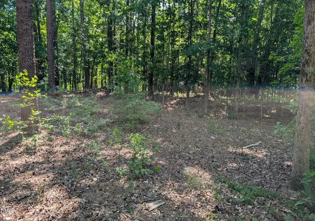Homes for sale in Rougemont, NC | 2069 Lot B Bowen Rd, Rougemont, NC 27572 | MLS# 10172101