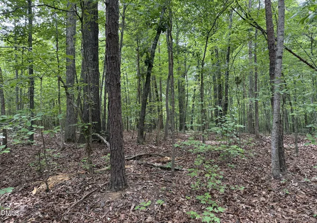 Homes for sale in Bullock, NC | 000 Herbert Faucette Rd, Bullock, NC 27507 | MLS# 10173278