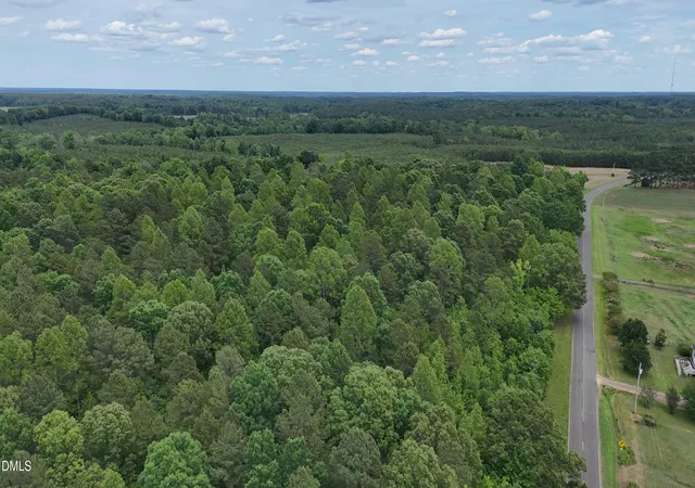 Homes for sale in Bullock, NC | 000 Herbert Faucette Rd, Bullock, NC 27507 | MLS# 10173278