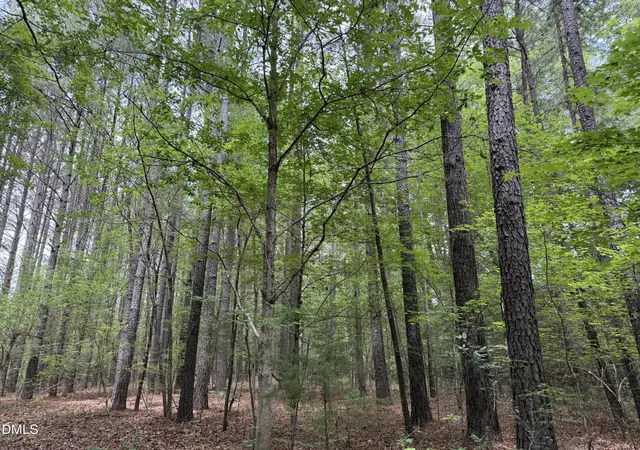 Homes for sale in Bullock, NC | 000 Herbert Faucette Rd, Bullock, NC 27507 | MLS# 10173278