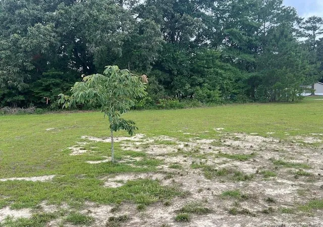 Photo 30 of Single family home for sale at 542 Red Oak Farm Rd, Tar Heel, NC 28392 | MLS# 763577 | Listing updated on 2026-07-28