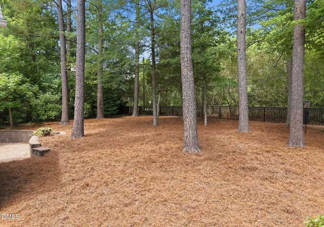 Homes for sale in Wake Forest, NC | 1229 Fanning Dr, Wake Forest, NC 27587 | MLS# 10174424