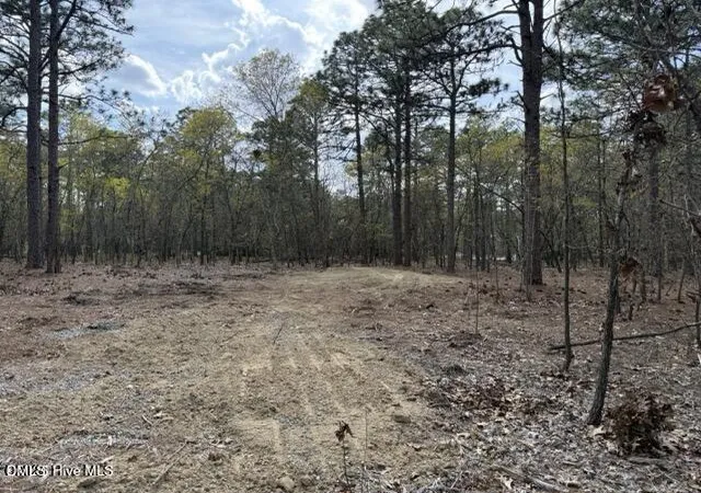 17th image of 27 Birkdale Wy, Pinehurst, NC 28374 | MLS# 10171543