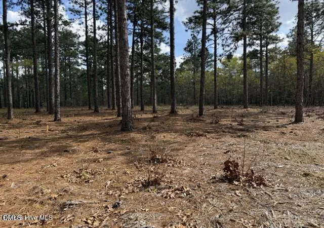 1st image of 27 Birkdale Wy, Pinehurst, NC 28374 | MLS# 10171543