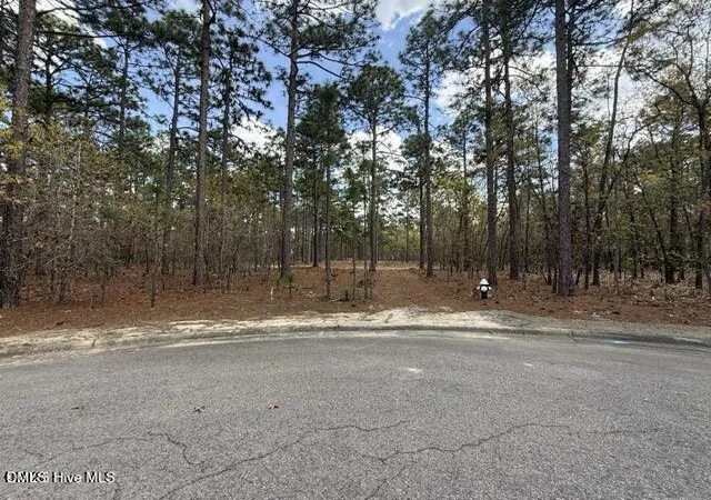 3rd image of 27 Birkdale Wy, Pinehurst, NC 28374 | MLS# 10171543