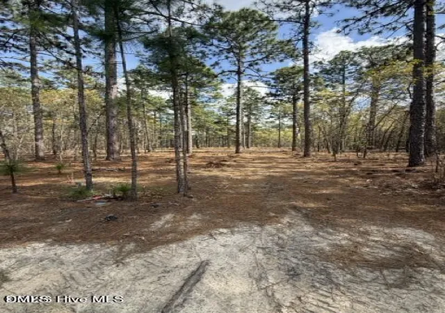 4th image of 27 Birkdale Wy, Pinehurst, NC 28374 | MLS# 10171543