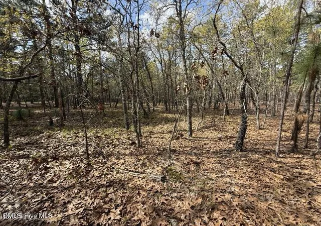 5th image of 27 Birkdale Wy, Pinehurst, NC 28374 | MLS# 10171543