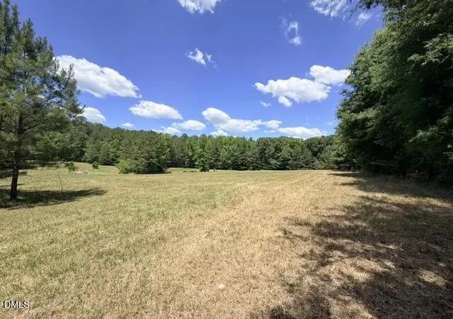 4th image of 2520 Canter Dr, Hillsborough, NC 27278 | MLS# 10171859