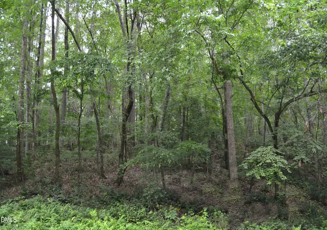 Photo 5 of Land for sale at 00 Tom Wright Rd, Franklinton, NC 27525 | MLS# 10172561 | Listing updated on 2026-07-18
