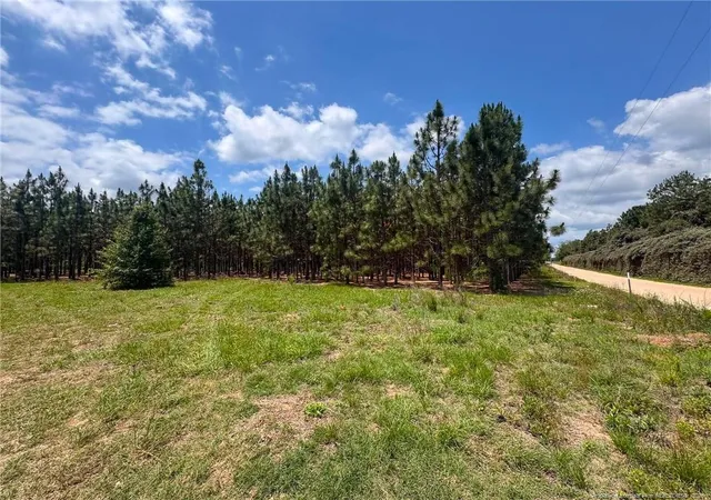 Photo 4 of Land for sale at Gainey Rd, Raeford, NC 28376 | MLS# 763837 | Listing updated on 2026-08-04