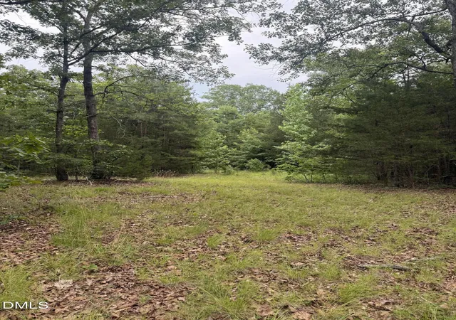 5th image of 245 Brandon-Kelsey Dr, Siler City, NC 27344 | MLS# 10172697