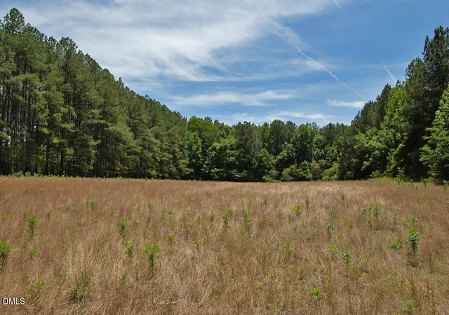 2nd image of 0 G F Ball Rd, Louisburg, NC 27549 | MLS# 10172843
