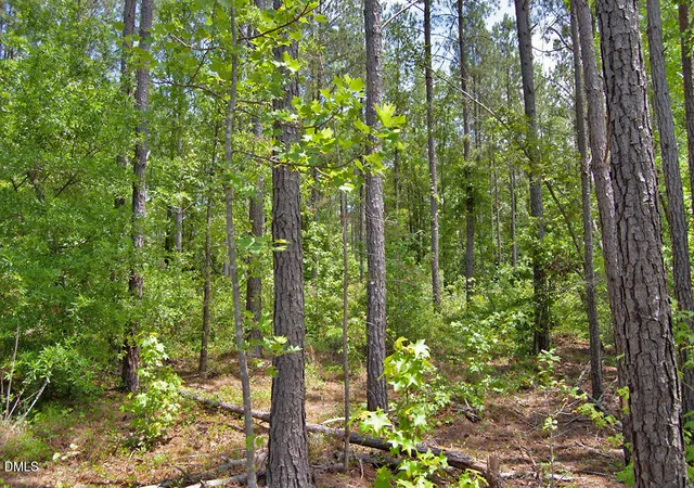 4th image of 0 G F Ball Rd, Louisburg, NC 27549 | MLS# 10172843