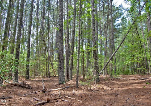 5th image of 0 G F Ball Rd, Louisburg, NC 27549 | MLS# 10172843