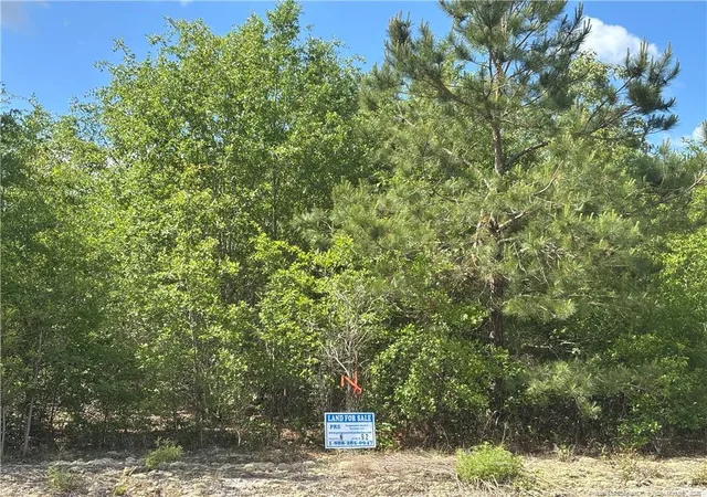 1st image of Johnson Rd, Fayetteville, NC 28312 | MLS# 763633