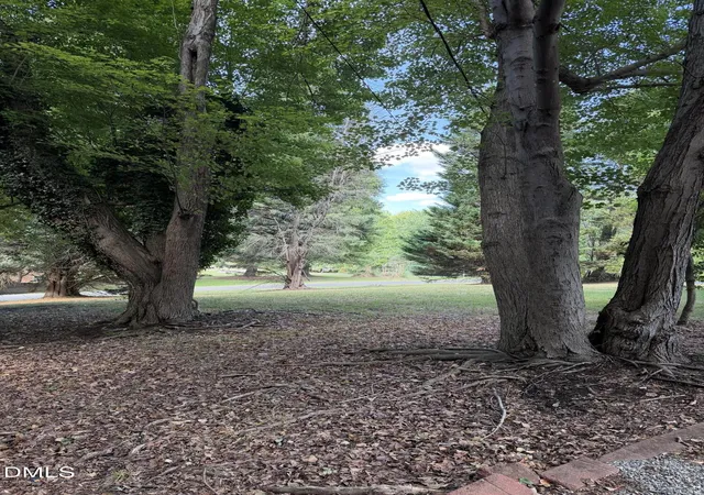 34th image of 81 Alleghany Dr, Roxboro, NC 27573 | MLS# 10175563