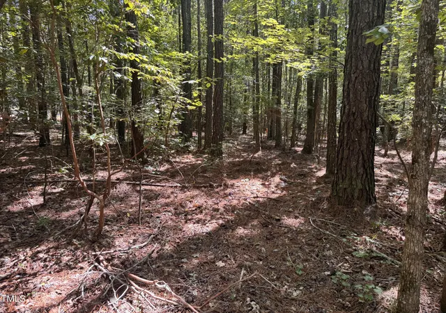 Photo 5 of Land for sale at 120 Anfield Rd, New Hill, NC 27562 | MLS# 10173357 | Listing updated on 2026-07-18